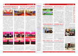 报纸46期反-小.jpg